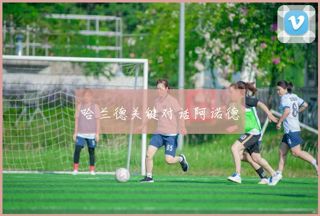 哈兰德关键对话阿诺德