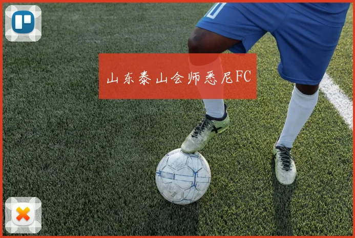 山东泰山会师悉尼FC