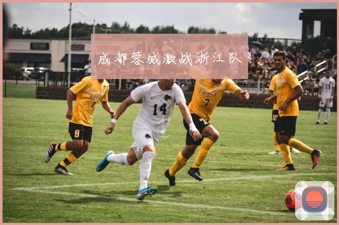 成都蓉城激战浙江队
