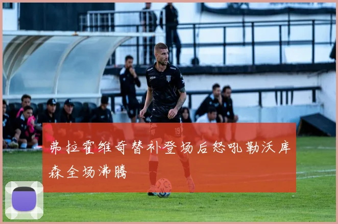 弗拉霍维奇替补登场后怒吼勒沃库森全场沸腾