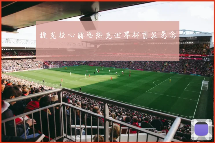 捷克核心赫洛热克世界杯首发悬念